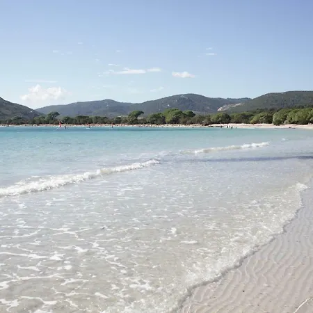 Mini Corse Du Sud Villa